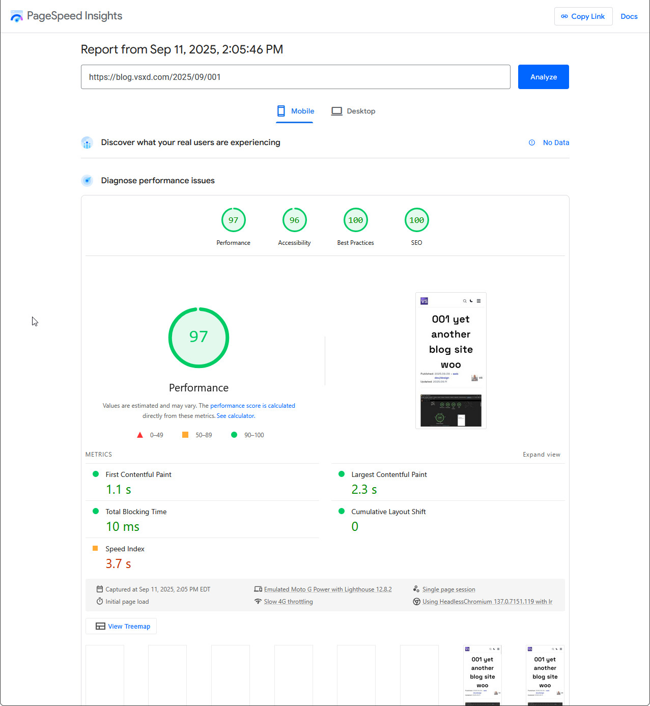 yet another pagespeed screenshot