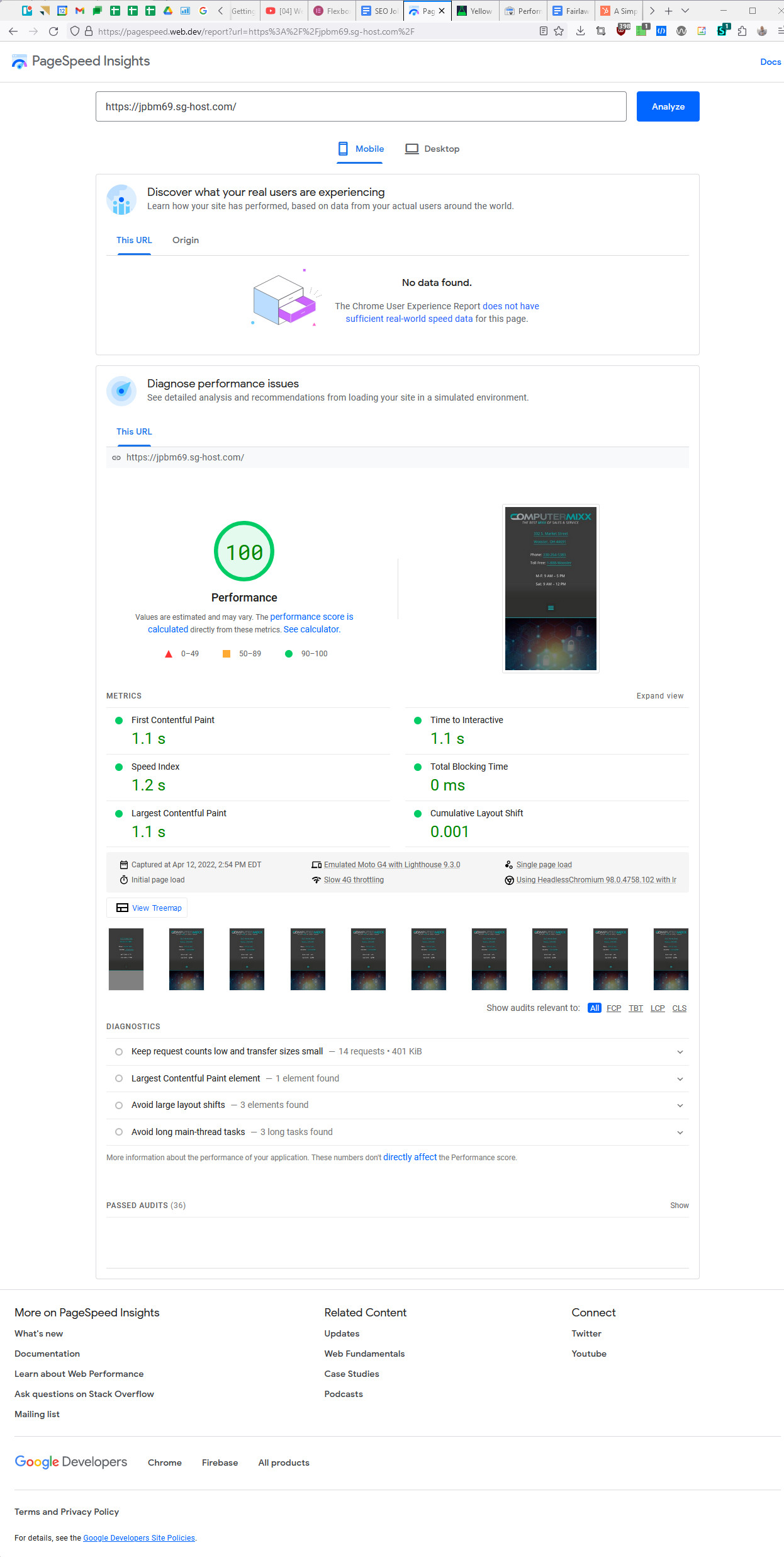 google pagespeed mobile screenshot